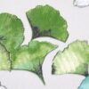 Tissu coton BILOBA – Image 2
